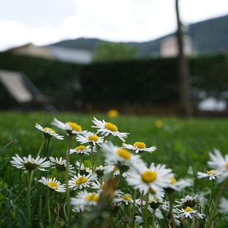 Apartamento Con Jardin En La Cerdanya Err المظهر الخارجي الصورة
