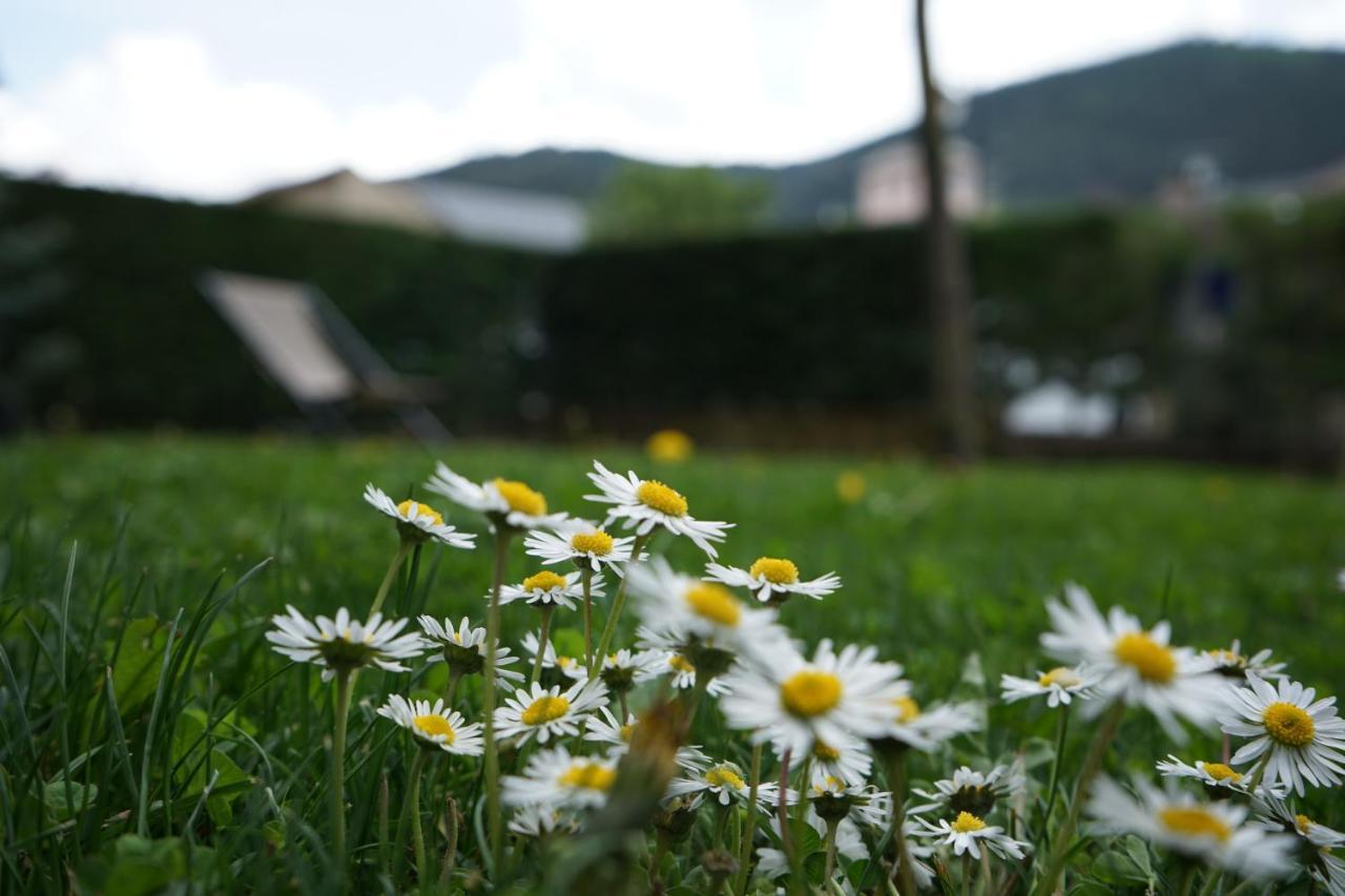 Apartamento Con Jardin En La Cerdanya Err المظهر الخارجي الصورة